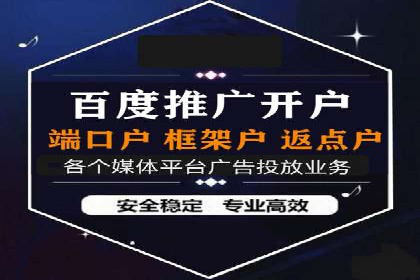 SEM服务案例：提升品牌曝光